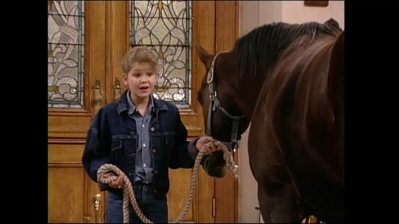 Full House A horse in the living room YouTube