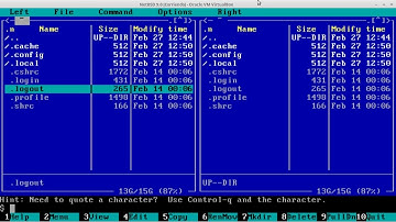 NetBSD 9.0 Install and pkgin enabled