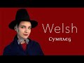 About the welsh language