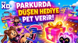 Sizce kim daha çok pet kazandı yorum yapın🤏❤️