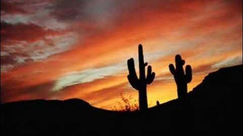 The Renegade - Full Theme