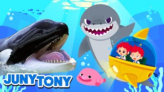 Great White Shark vs. Orca Rematch! | Sperm Whale, Giant Squid | Sea Animal Songs | JunyTony