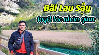 DU LỊCH TRUNG QUỐC: Bãi Lau Sậy, tuyệt tác nhân gian (CTC phần cuối) [4K]