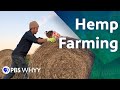 Hemp Farming - You Oughta Know (2020)