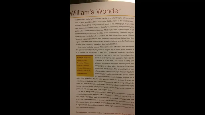 William's  Wonder