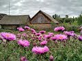 MODERN UKRAINE. My mother's amazing garden and a country house