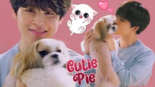 BTS PLAY WITH dogs  #dogs  #cutelife