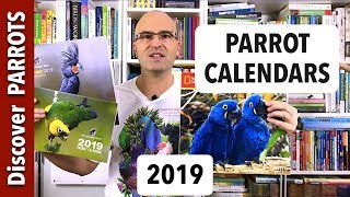 Parrot Calendars 2019 | Discover PARROTS