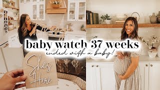 BABY WATCH VLOG 37 WEEKS | this week ended with a baby!