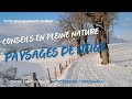 Quelques conseils en pleine nature savoir observer  ressentir les couleurs 