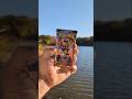 Phantasmal Flames x Lake Tawakoni State Park - Spring Point Trail