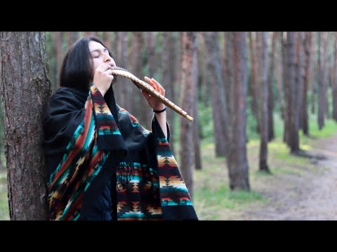 Musician S Day LIVE MUSIC HD