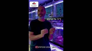 מה הקשר בין להקת דגים וחרדה? מוזמנים לצפות בסרטון. 08-9957774 snapirimfarm.com