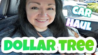 SPRING DAY DOLLAR TREE CAR HAUL by Patty Shops 200 views 1 month ago 10 minutes, 42 seconds