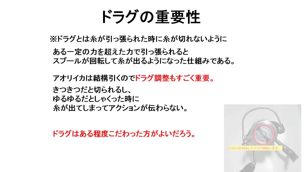 リールの性能を活かしてる ドラグ調整で エギングが変わる