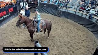 Hermanson-Kist Spring Horse Sale - Mandan, ND Hermanson-Kist Spring Horse Sale - Mandan, ND