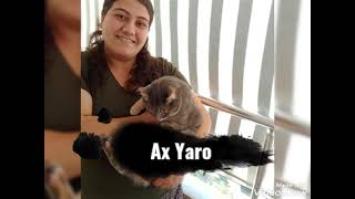 Ax Yaro
