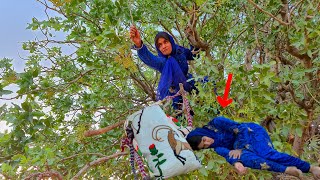 "A homeless woman spent a day hungry in the mountains and picked up sticks!"
