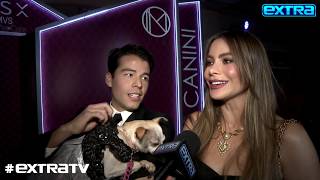 Sofía Vergara on Judging 'AGT,' Plus: Son Manolo's High-End Doggie Fashion Line