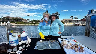 How to Clean Shells - Tutorial with Amanda Collett, Seashell Author and "Sarah with an H"