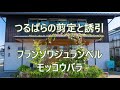 つるばらの剪定と誘引（フランソワジュランビルとモッコウバラ）説明欄からご覧下さい
