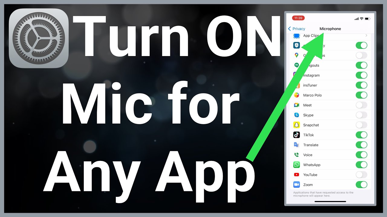 EZ Microphone : Use your iphone as a microphone.