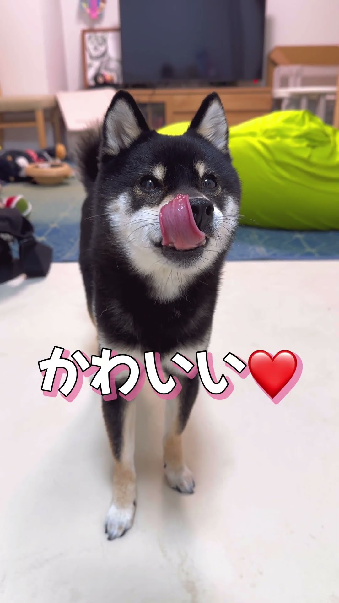 にゃんめる(プロフ読んで下さい)様 リクエスト 2点 まとめ商品 にゃんめる(プロフ読んで下さい)様 リクエスト 2点 まとめ商品