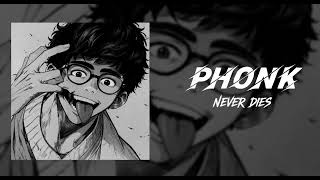 PHONK NEVER DIES | BRAZILIAN COWBELL PHONK