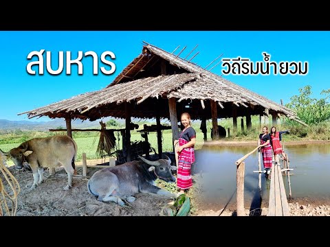 ผลสลากกินแบ่งรัฐบาล วันที่ 1 พย. 2567