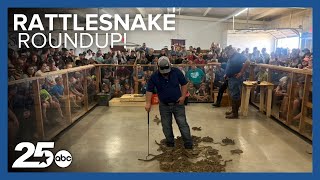 Hundreds gather for the 54th annual Rattlesnake Roundup