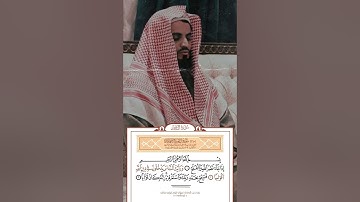 سورة النصر بصوت رعد الكردي//حالات واتس اب// ستوريات انستجرام🤍🌿『تلاوات تقشعـۦر⁐لَۿا الأبدان』