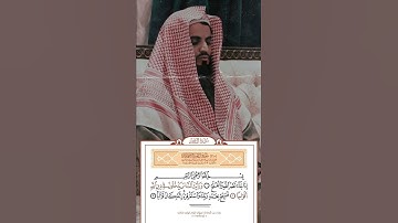سورة النصر بصوت رعد الكردي//حالات واتس اب// ستوريات انستجرام🤍🌿『تلاوات تقشعـۦر⁐لَۿا الأبدان』