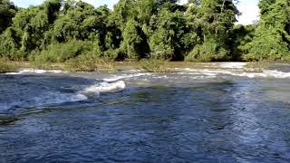Corredera en el arroyo San Antonio - Misiones (Argentina)