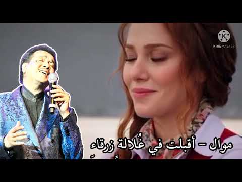 موال أقبلت في غ لالة زرقاء