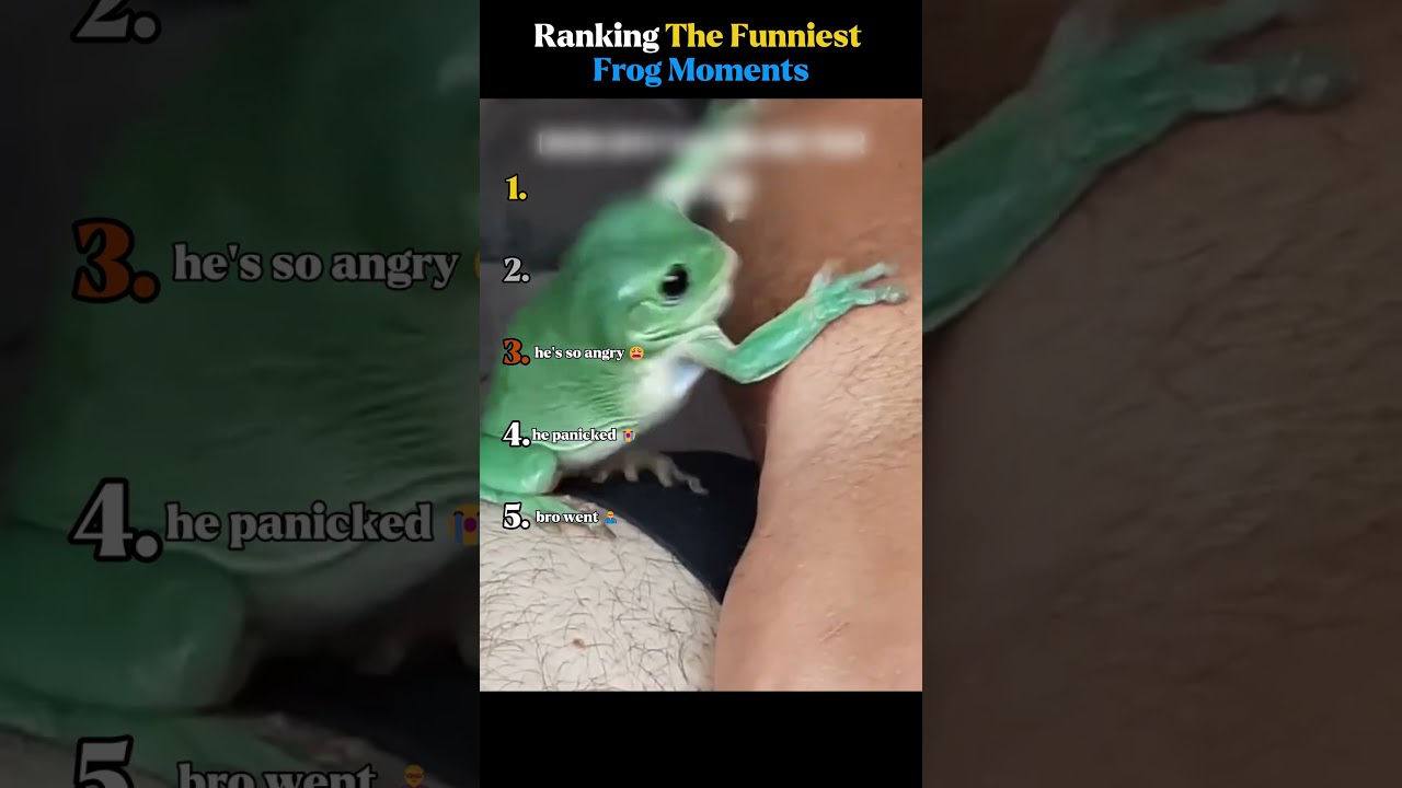Рейтинг самых смешных моментов с лягушками 🤣💀