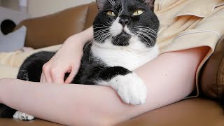 呼んでもないのに隣に来て一緒に寝る猫がこちらですｗ