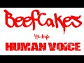 【ビーフケイクス】の4th drop 「Human Voice」 リリックビデオ