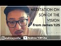 Thoughts on son of the Vision from James 1:25