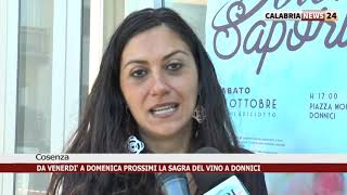 COSENZA: DA VENERDI' A DOMENICA PROSSIMI LA SAGRA DEL VINO A DONNICI