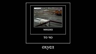 мишка ты чо охуел?