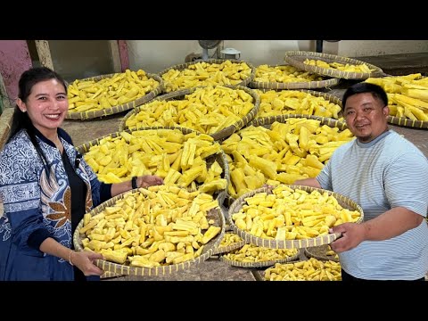 Cara Membuat Tapai Singkong