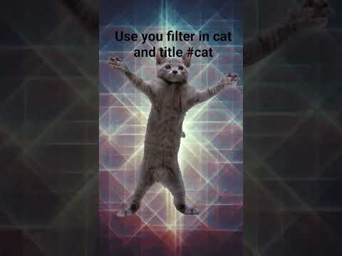 #cat