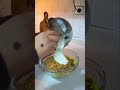 Cipsli arpa şehriye salatası