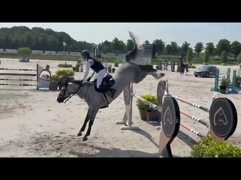 Domingo van Klapscheut 140 CSI2* Peelbergen
