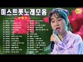 감성 트로트 모음 누구나가 좋아하는 최고의 인기트로트 40곡 연속듣기 감성 트로트 모음 누구나가 좋아하는 최고의 인기트로트 40곡 연속듣기