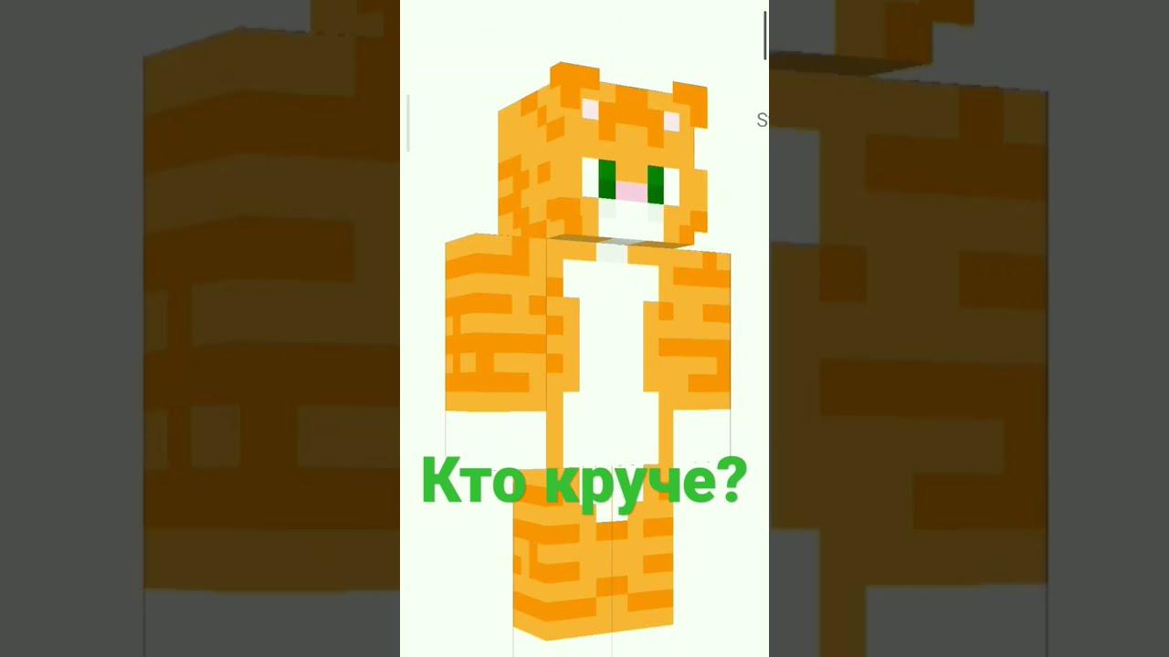 Скин кота