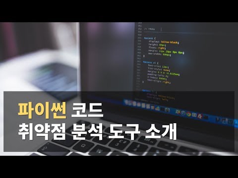 파이썬 코드 취약점 분석 도구 소개