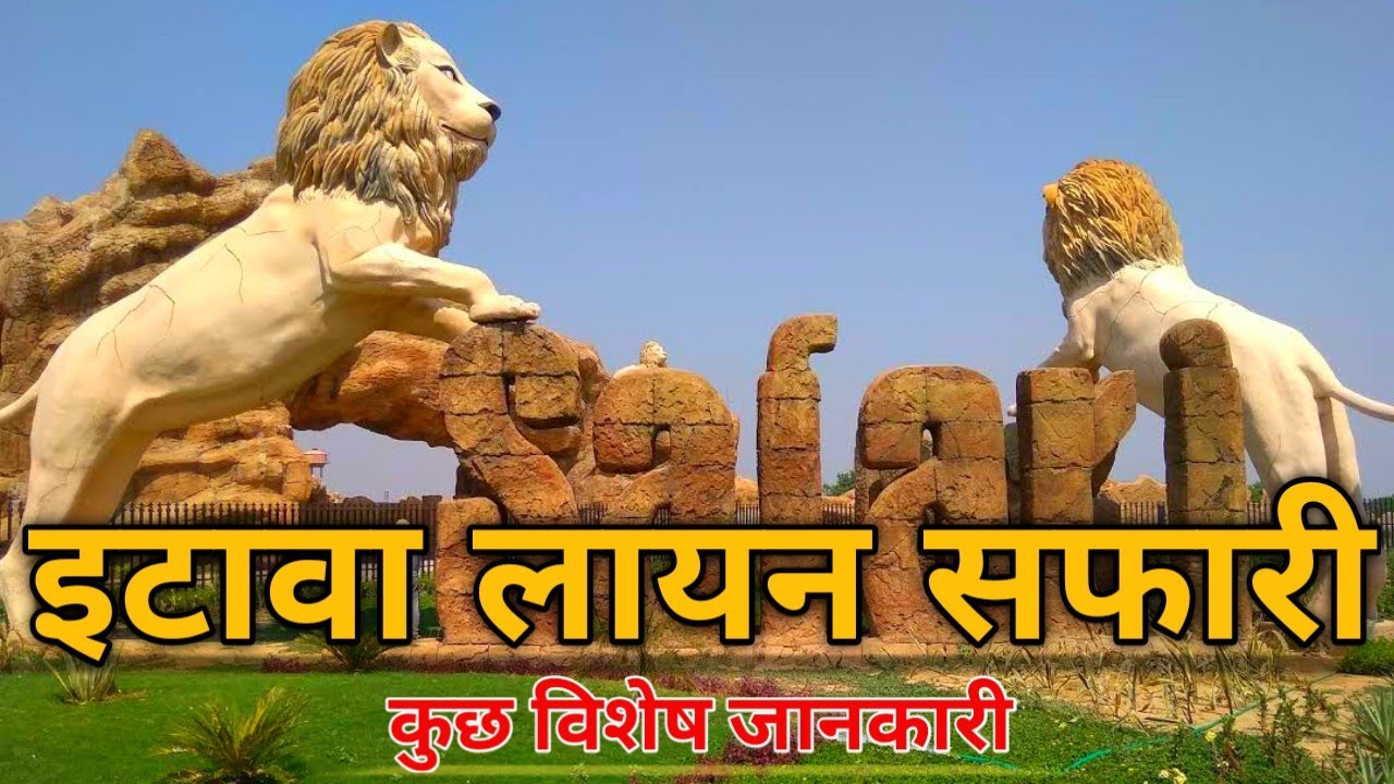 lion safari etawah