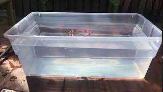 Sink or Float: Rubber Band Experiment