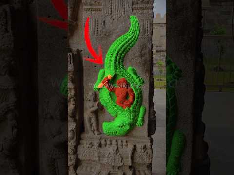 How is it possible?🤯😱 #crocodile #monkey #sword #animals #fight #ancient #temple #carving #short